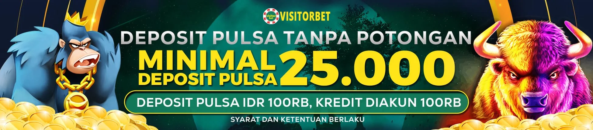 VISITORBET